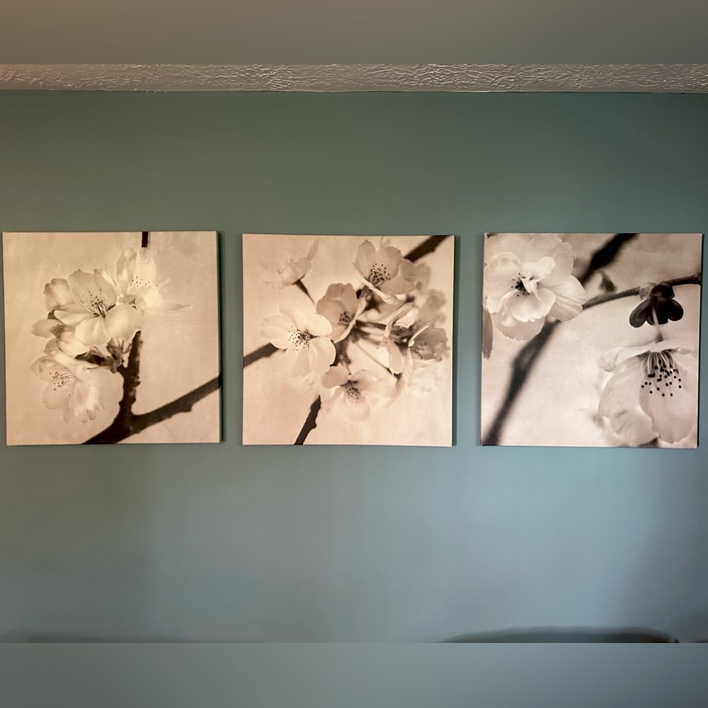 IKEA 3 Piece Cherry Blossom Floral Canvas Wall Art